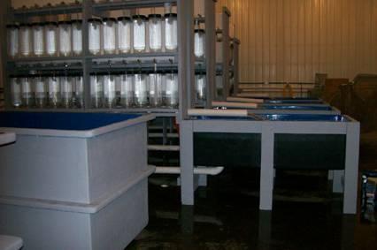 Wholesale Live Bait Fish Hatchery Jars 2